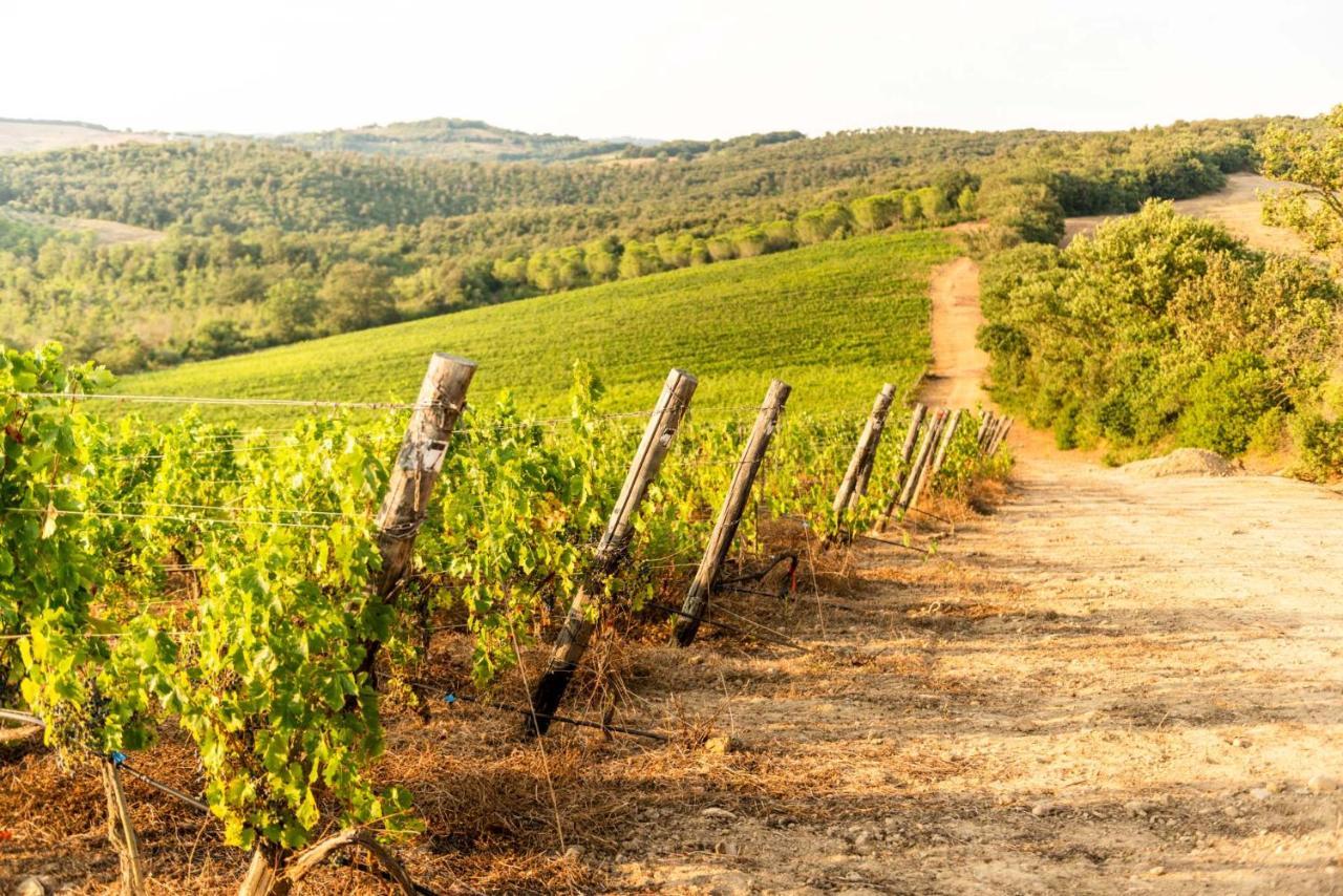 Ribolla Agriturismo & Cantina Tenuta Casteani מראה חיצוני תמונה