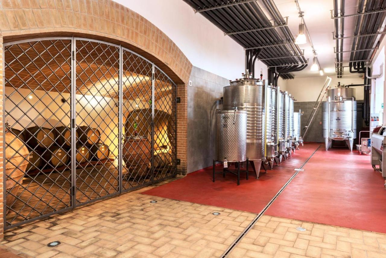 Ribolla Agriturismo & Cantina Tenuta Casteani מראה חיצוני תמונה