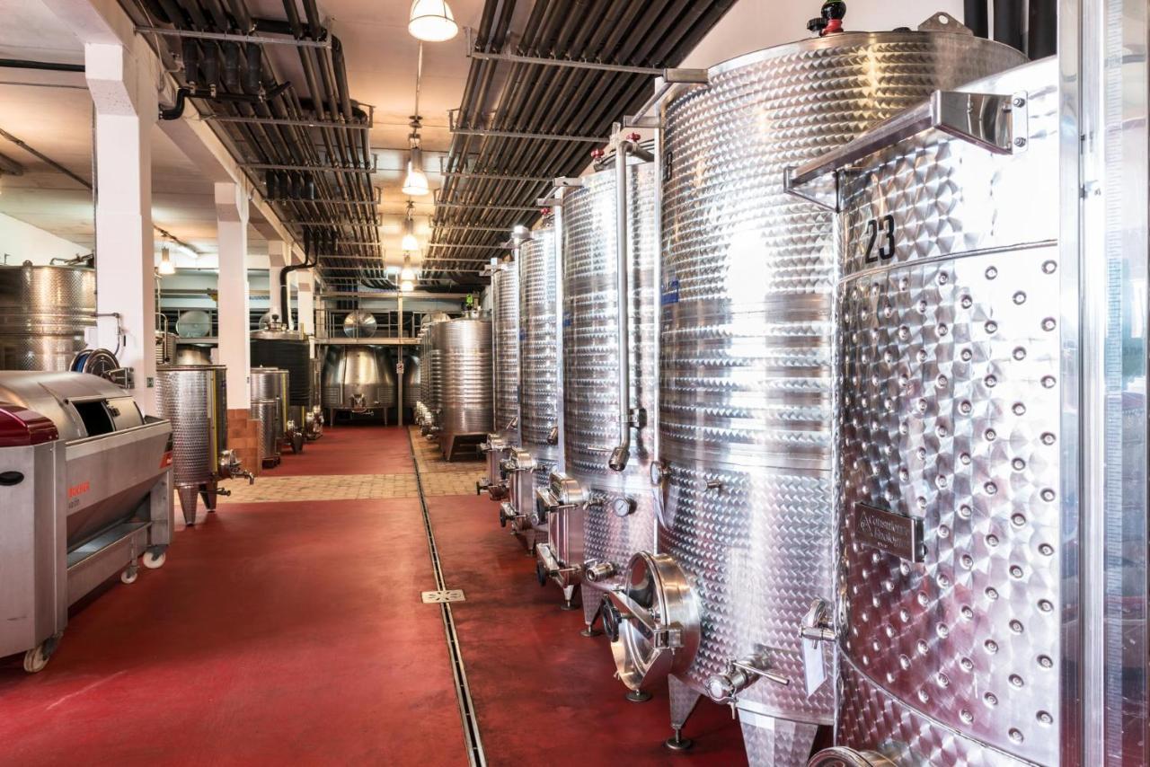Ribolla Agriturismo & Cantina Tenuta Casteani מראה חיצוני תמונה